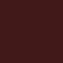 #411918 - Cocoa Bean Color Image