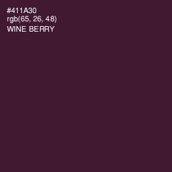 #411A30 - Wine Berry Color Image