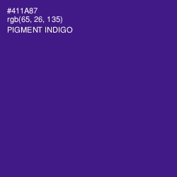 #411A87 - Pigment Indigo Color Image