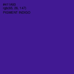 #411A93 - Pigment Indigo Color Image