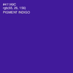 #411A9C - Pigment Indigo Color Image
