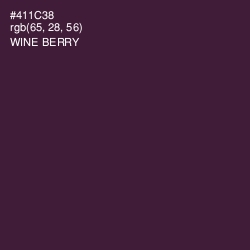 #411C38 - Wine Berry Color Image