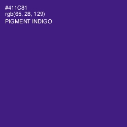 #411C81 - Pigment Indigo Color Image