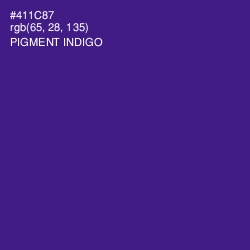 #411C87 - Pigment Indigo Color Image