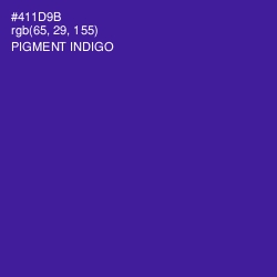 #411D9B - Pigment Indigo Color Image