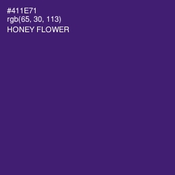 #411E71 - Honey Flower Color Image