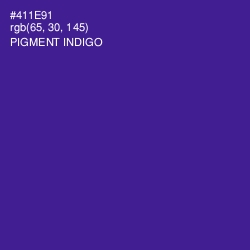 #411E91 - Pigment Indigo Color Image