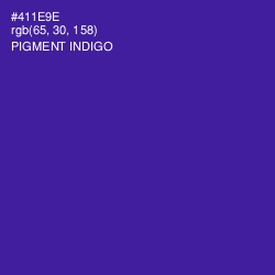 #411E9E - Pigment Indigo Color Image