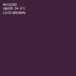 #41223D - Livid Brown Color Image