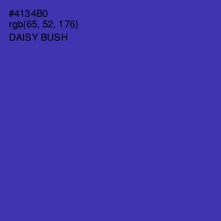 #4134B0 - Daisy Bush Color Image