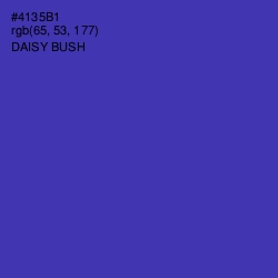 #4135B1 - Daisy Bush Color Image