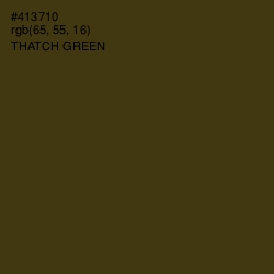 #413710 - Thatch Green Color Image