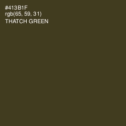 #413B1F - Thatch Green Color Image