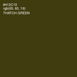 #413C10 - Thatch Green Color Image