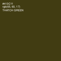 #413C11 - Thatch Green Color Image