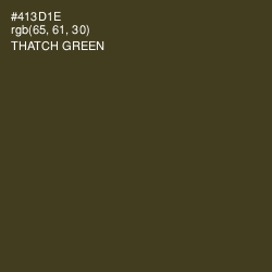 #413D1E - Thatch Green Color Image