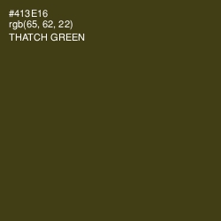 #413E16 - Thatch Green Color Image