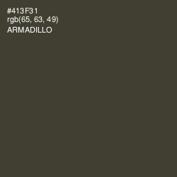 #413F31 - Armadillo Color Image