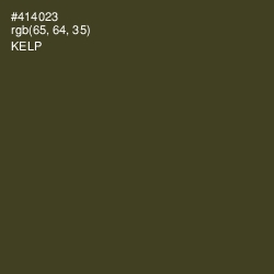 #414023 - Kelp Color Image