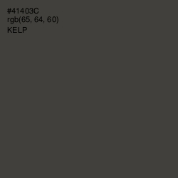 #41403C - Kelp Color Image