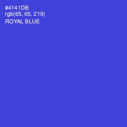 #4141DB - Royal Blue Color Image