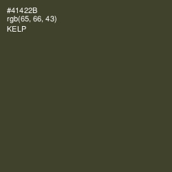 #41422B - Kelp Color Image