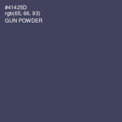 #41425D - Gun Powder Color Image