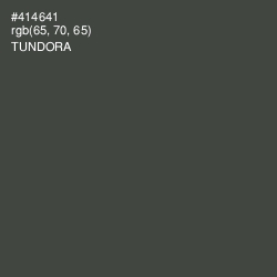 #414641 - Tundora Color Image