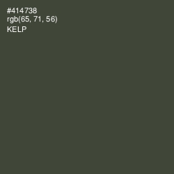 #414738 - Kelp Color Image