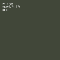 #414739 - Kelp Color Image