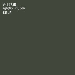 #41473B - Kelp Color Image