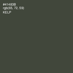 #41483B - Kelp Color Image