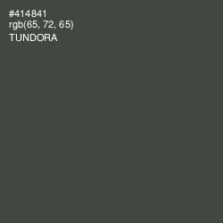 #414841 - Tundora Color Image