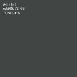 #414844 - Tundora Color Image