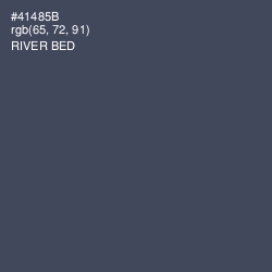 #41485B - River Bed Color Image