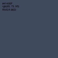 #41495F - River Bed Color Image