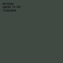 #414A42 - Tundora Color Image