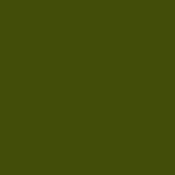 #414C08 - Bronze Olive Color Image