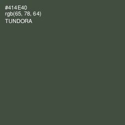 #414E40 - Tundora Color Image