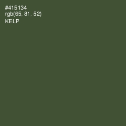 #415134 - Kelp Color Image