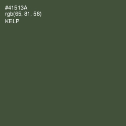 #41513A - Kelp Color Image