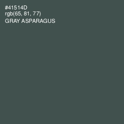 #41514D - Gray Asparagus Color Image