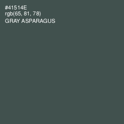 #41514E - Gray Asparagus Color Image