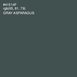 #41514F - Gray Asparagus Color Image