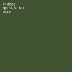 #415233 - Kelp Color Image