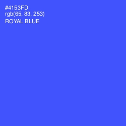 #4153FD - Royal Blue Color Image