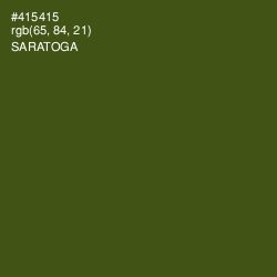 #415415 - Saratoga Color Image