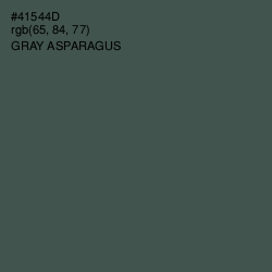 #41544D - Gray Asparagus Color Image