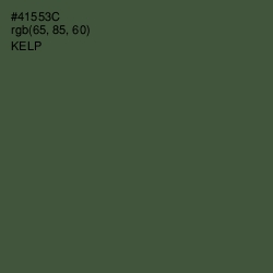 #41553C - Kelp Color Image