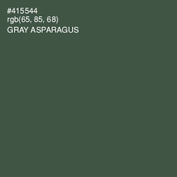 #415544 - Gray Asparagus Color Image